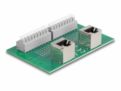 Attēls no Delock RJ45 2 x female to 2 x Terminal Block with push-button for DIN rail angled