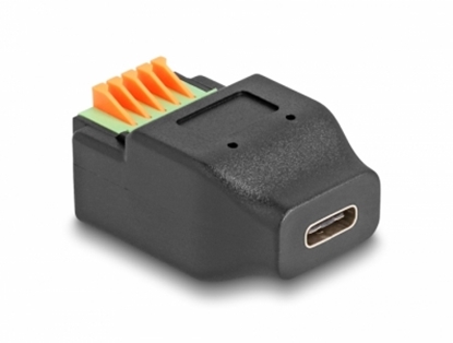 Picture of Delock USB Type-C™ 2.0 female to Terminal Block Adapter with push-button