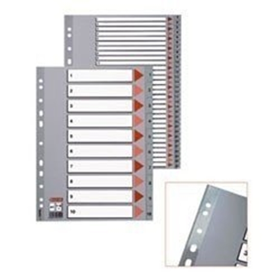 Picture of Divider Esselte PP, A4, Jan.-Dec. months, plastic