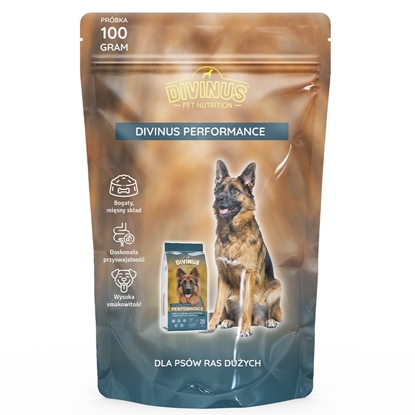 Attēls no DIVINUS Performance - dry dog food - 100 g