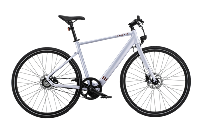 Picture of Elektrinis dviratis Tenways CGO600, pilkas