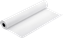 Изображение Epson Premium Glossy Photo Paper Roll, 44" x 30,5 m, 260g/m²
