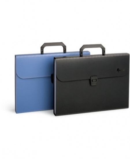Picture of Folder-portfolio, file folder Forpus, A4, black, 12 + 1 compartments 0822-005