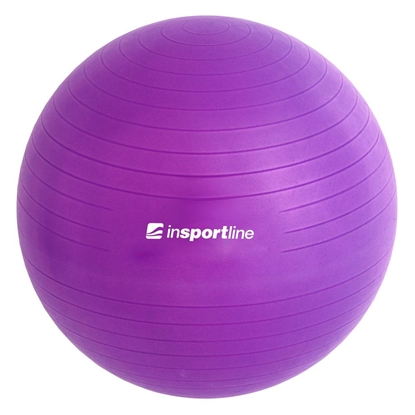 Изображение Gimnastikos kamuolys + pompa inSPORTline Top Ball 55 cm - Purple