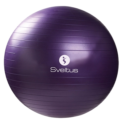 Attēls no Gimnastikos kamuolys SVELTUS Anti-Burst, 75cm, violetinis