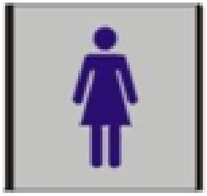 Picture of Informacinė lentelė 1.19 Moterų tualetas, 93mm x 93mm 0616-118