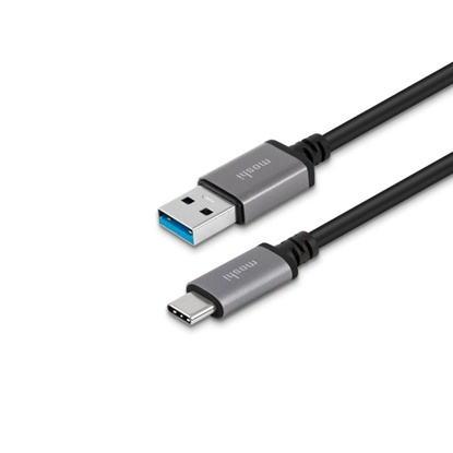 Picture of Kabel USB Moshi USB-A - USB-C 1 m Biay (99MO084101)