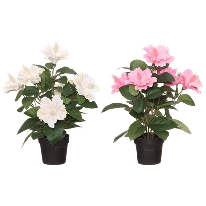 Picture of Mākslīgie augi 4Living Hibiski 38cm