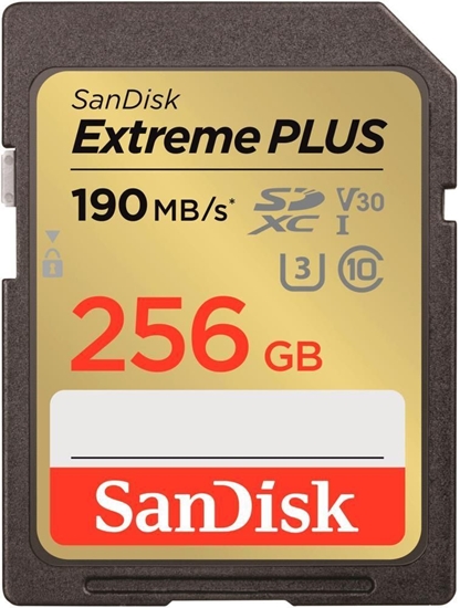 Picture of MEMORY SDXC 256GB UHS-1/SDSDXWV-256G-GNCIN SANDISK