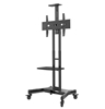 Изображение Neomounts by Newstar Select NM-M1700BLACK Mobile floor stand for 32-75" screen, Max. weight: 50 kg, height adjustable - Black