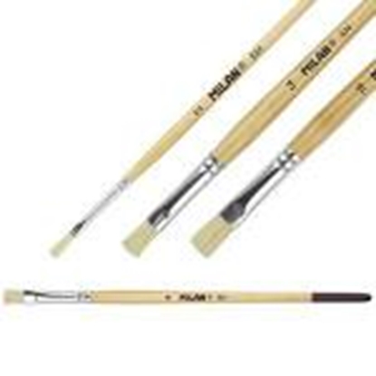 Attēls no Otiņa 524 Nr.06 plakana saru MILAN