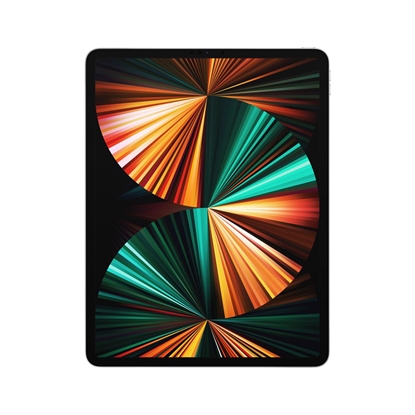 Picture of Planšetinis kompiuteris APPLE iPad Pro 12.9" Wi-Fi 2TB Silver 2021