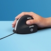 Picture of R-Go Tools HE Mouse R-Go HE ergonomic mouse, large, right, wired