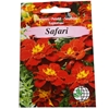 Picture of Sēklas Samtenes Safari sark. AMC 30sēkl.