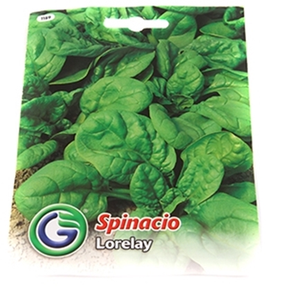 Изображение Sēklas Spināti Lorelay 17g