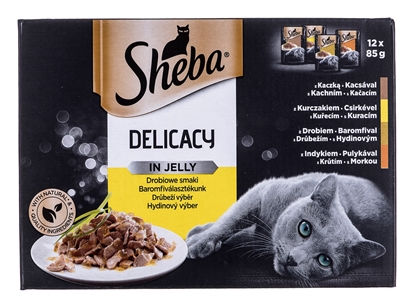 Attēls no Sheba Delicacy in Jelly Chicken Flavours 12 x 85 g