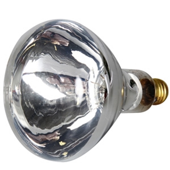 Picture of Spuldze Bailey IR250W E27 clear