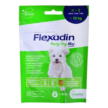 Изображение VETOQUINOL Flexadin Young Mini - supplement for dogs - 60 tablets