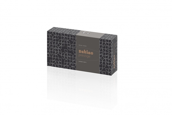 Picture of Wipes for face WEPA Prestige, 2-Ply, cellulose, white 100 pcs. 206451