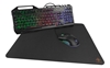 Изображение Žaidimų rinkinys DELTACO GAMING RGB klaviatūra, pelė, pels kilimėlis, UK Layout, juodas / GAM-113-UK