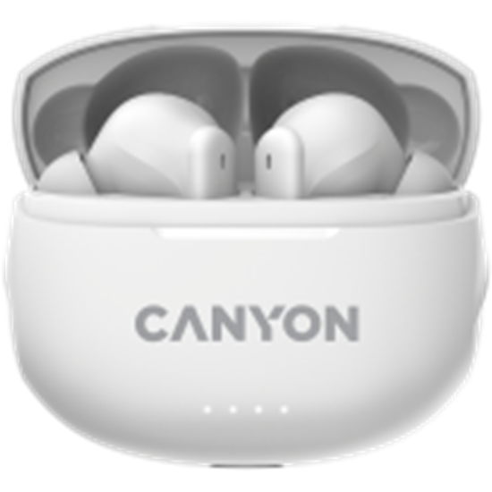Picture of CANYON CNS-TWS8W