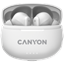 Picture of CANYON CNS-TWS8W
