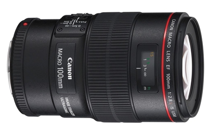 Attēls no Canon EF 100mm f/2.8L Macro IS USM Lens