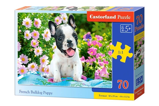 Picture of Dėlionė Castorland French Bulldog Puppy, 70 dalių