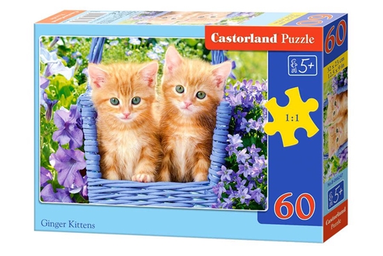 Picture of Dėlionė Castorland Ginger Kittens, 60 dalių