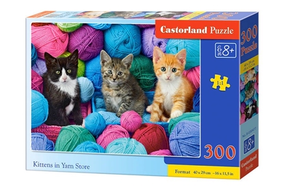 Picture of Dėlionė Castorland Kittens in Yar Store, 300 dalių