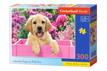 Изображение Dėlionė Castorland Labrador Puppy in Pink Box, 300 dalių