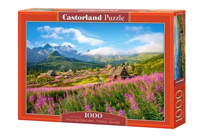Изображение Dėlionė Castorland Tatras, Poland, 1000 dalių