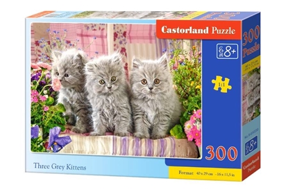 Attēls no Dėlionė Castorland Three Grey Kittens, 300 dalių