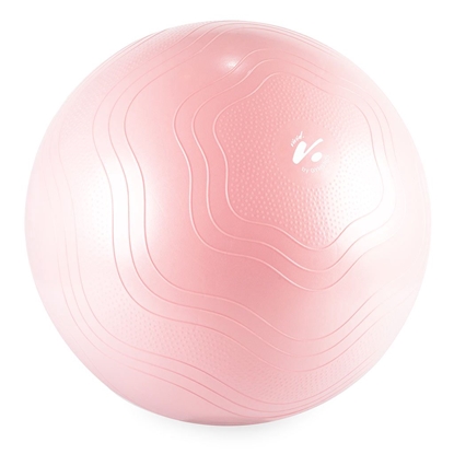 Attēls no Gimnast. kamuolys 65cm GYMSTICK VIVID 61334-65 Pink