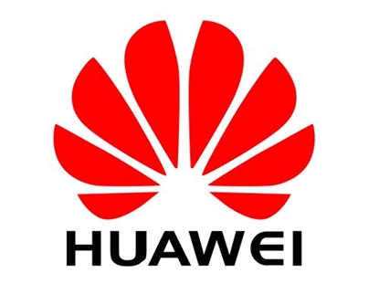 Изображение Huawei 02310YCW internal solid state drive 2.5" 240 GB Serial ATA III MLC