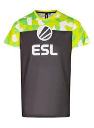 Attēls no Marškinėliai ESL Player Jersey XL, margi