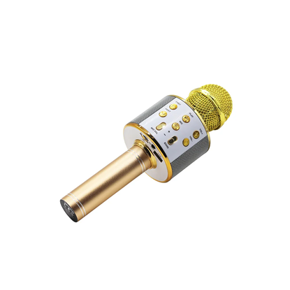 Picture of Mikrofonas Manta MIC10-G gold
