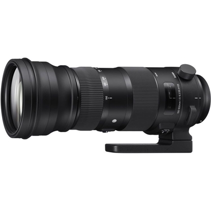 Изображение Objektyvas SIGMA 150-600mm F5.0-6.3 DG OS HSM for Nikon [Sports]