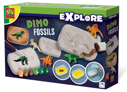 Attēls no SES Rinkinys „Dinozaurų fosilijos“