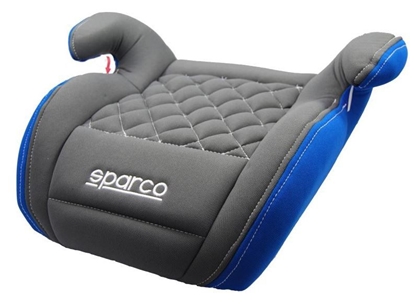 Picture of Sparco F100K gray-blue (F100K-GR-P) 15-36Kg