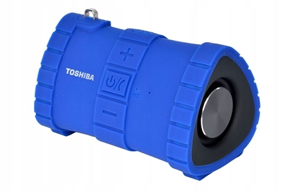 Изображение Toshiba Sonic Dive 2 TY-WSP100 blue