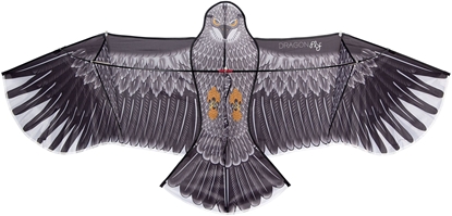 Attēls no Aitvaras 51WL Kite Eagle
