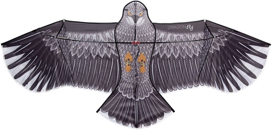 Picture of Aitvaras 51WL Kite Eagle