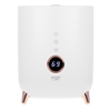 Picture of Adler | AD 7972 | Humidifier | 23 W | Water tank capacity 4 L | Suitable for rooms up to 35 m² | Ultrasonic | Humidification capacity 150-300 ml/hr | White