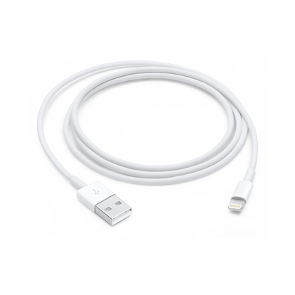 Picture of Apple Lightning to USB Cable (1В m)