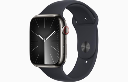 Изображение Apple Watch 9 GPS + Cellular 45mm Stainless Steel Sport Band M/L, graphite/midnight (MRMW3ET/A)