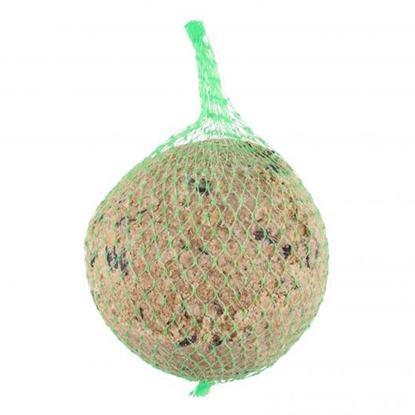 Picture of Barība putniem Tintti Tauku bumba XXL 500g