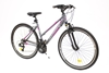 Picture of BICYCLE CITY COMFORT W/R:28" F:18" GR/PNK ROCKSBIKE