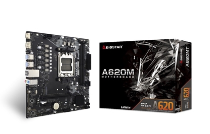 Picture of BIOSTAR A620MT motherboard