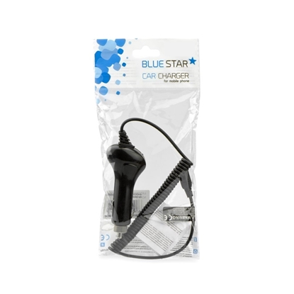 Picture of BlueStar Car Charger 12 V / 24 V / 2000 mA With USB-C Cable